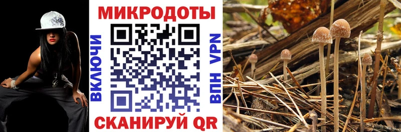 Псилоцибиновые грибы мухоморы  купить наркотик  Сарапул 